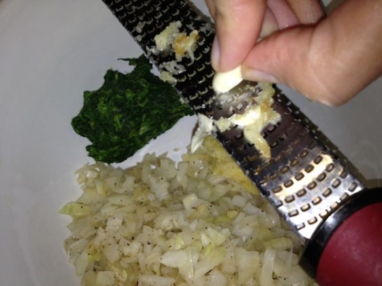 This is a "microplane."